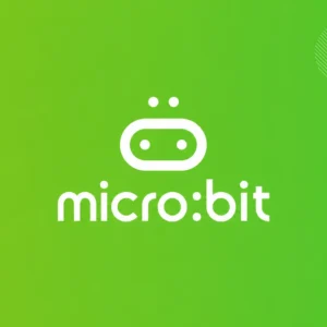 میکروبیت (Micro:bit)  12 سال به بالا